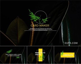 PR字幕模板 12组4K美丽植物标题动画文字